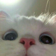 shusha