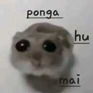 PONGA.