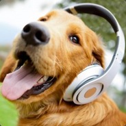 Blondenführhund