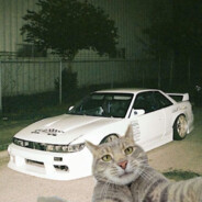 N1KS1R
