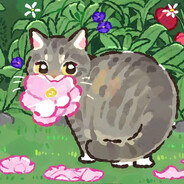 Pisoi