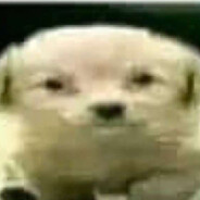 EL POCHOLATEE