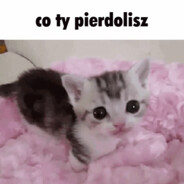 Vyxik_