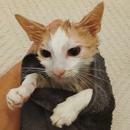 wwwwwwwwwwwwwwwwwwwwwww avatar