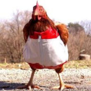 Chicken In Pants