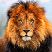 erjavito96