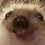 scarymike