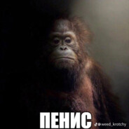 скачать