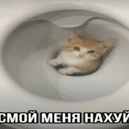 dysmorphia