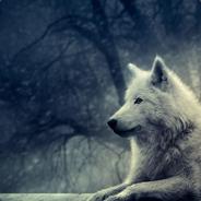 Team Vac wwolf
