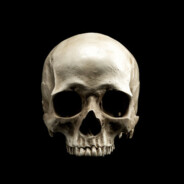 Sir Knumskull