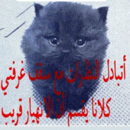 habibi