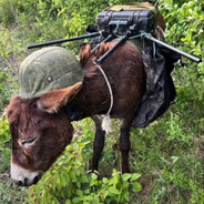 russian special forces