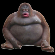 Tr0g
