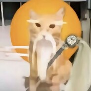 ハキミの仙人