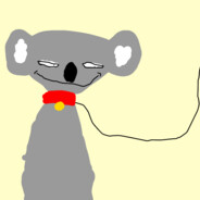 Lebanese Koala