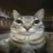 HOTELKIN
