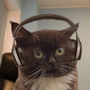 Dav