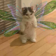 мне ♥♥♥♥♥
