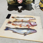 baleciaga smile avatar