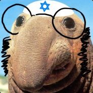 [RABBI] BigMoist