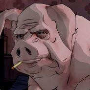 Boar