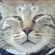 ツ