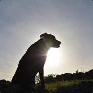  [ Steam Profile ] 
