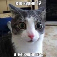 Аватар сообщества Steam