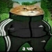LI-ce