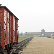 Shoah is exaggerated