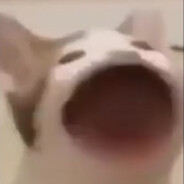 shreklover