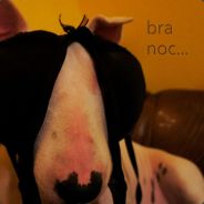 You steal a creep = FEED