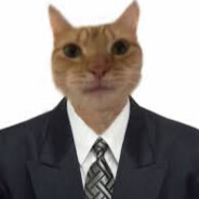 S Gato