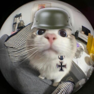 German Cat