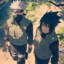 Shadows brothers