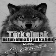 İLTERİŞ BOZKURT