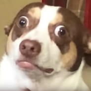 Mr. Bubz