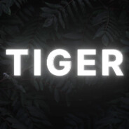 Tiger-untidy700