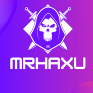 Mr.HaXu