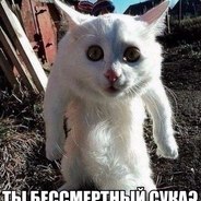 Гриха