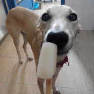 poky