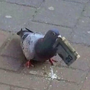 CalmMindset CSGOSKINS ♥♥♥♥♥♥♥♥♥♥