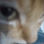 when