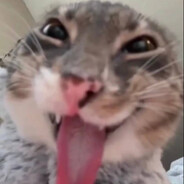ssrrvvkk