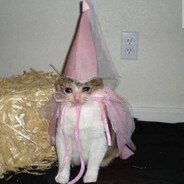TheCatLady