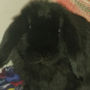 Quincy