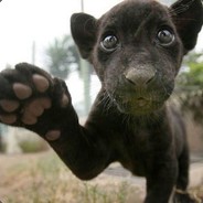 Panther