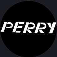 Perrycase.gift