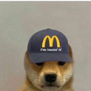 dog attendant
